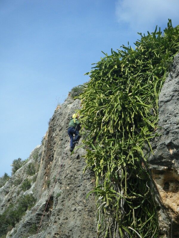 IMPORTANT NOTICE re access to Argentier – please advise all climbers!