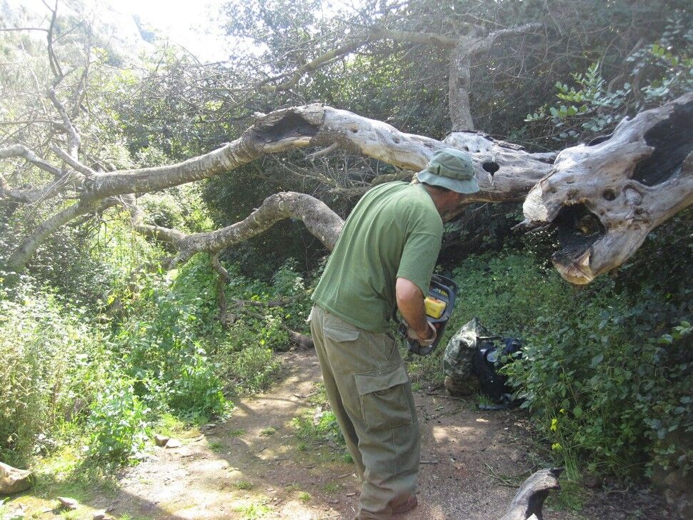 Path to Wied Babu crags cleared of fallen logs