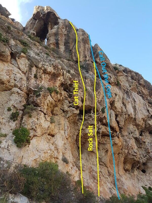 Nuntio vobis, magnum gaudium, new routes!